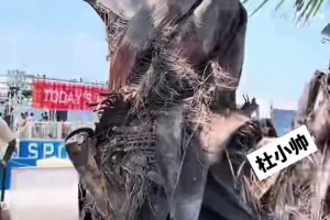 德罗赞：詹姆斯篮球智商很高，这不是分数能体现的！